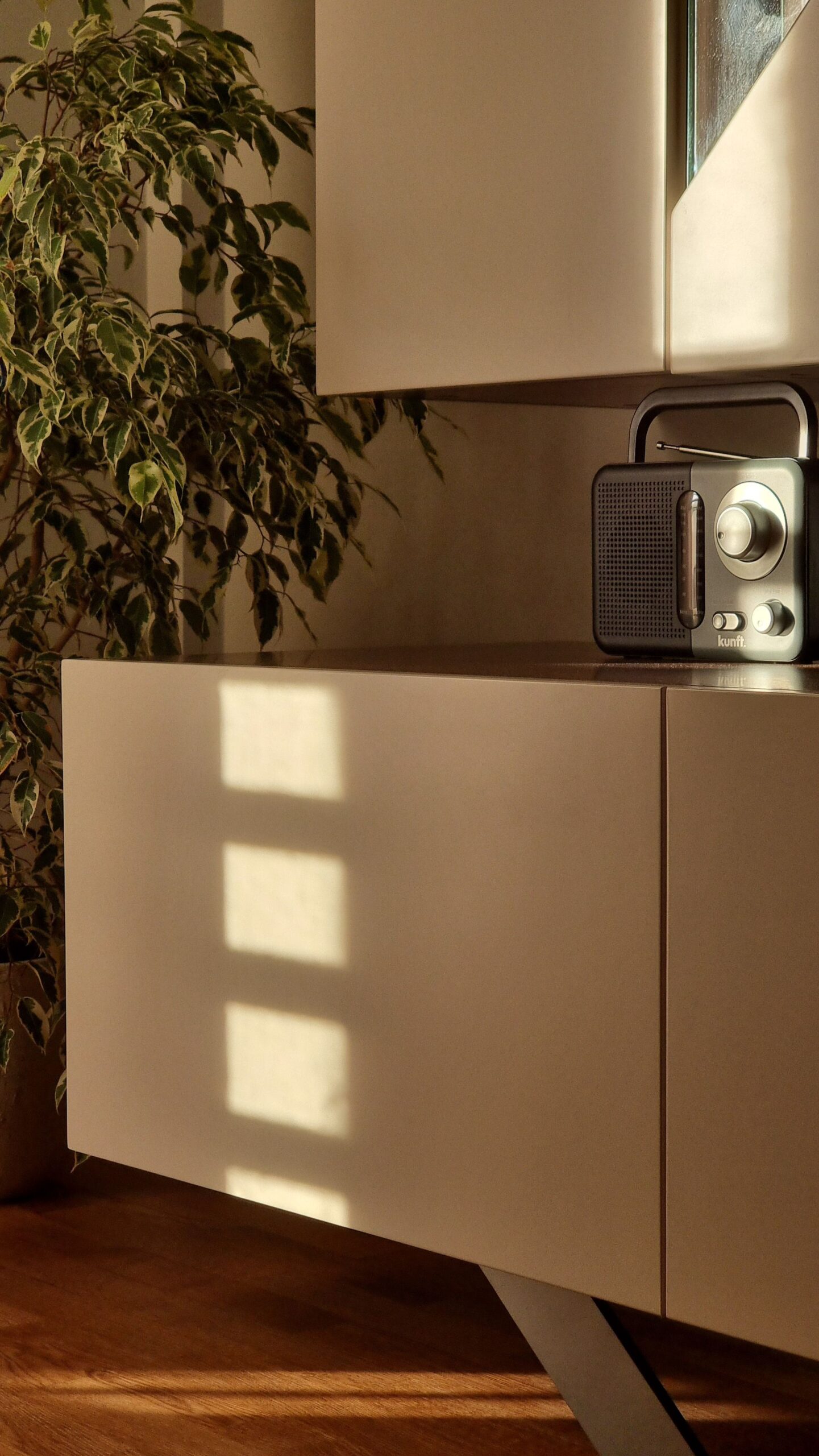A cozy modern interior featuring a vintage radio and lush indoor plant with soft natural light.